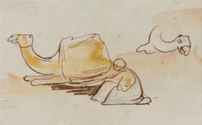 Estudios de camellos de Edward Lear